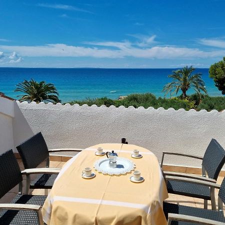 Apartments Ostrea - Ana Novalja Εξωτερικό φωτογραφία