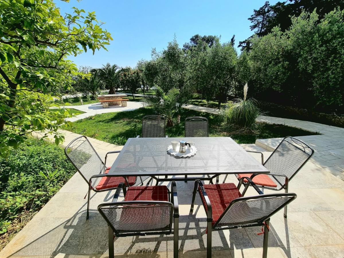 Apartments Ostrea - Ana Novalja Εξωτερικό φωτογραφία